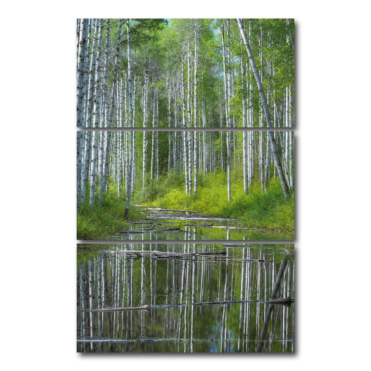 AUTO-MOCKUP WHITE | Flooded Grove | 3 Piece | Gallery Wrap Canvas | group=12x24_stacked