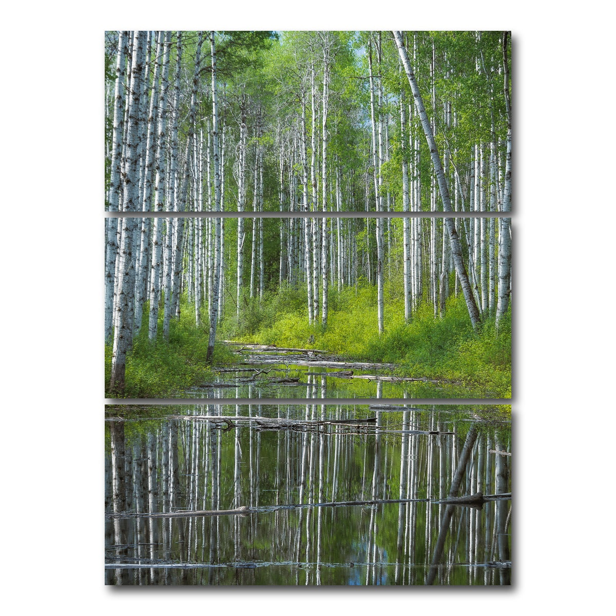AUTO-MOCKUP WHITE | Flooded Grove | 3 Piece | Gallery Wrap Canvas | group=8x18_stacked