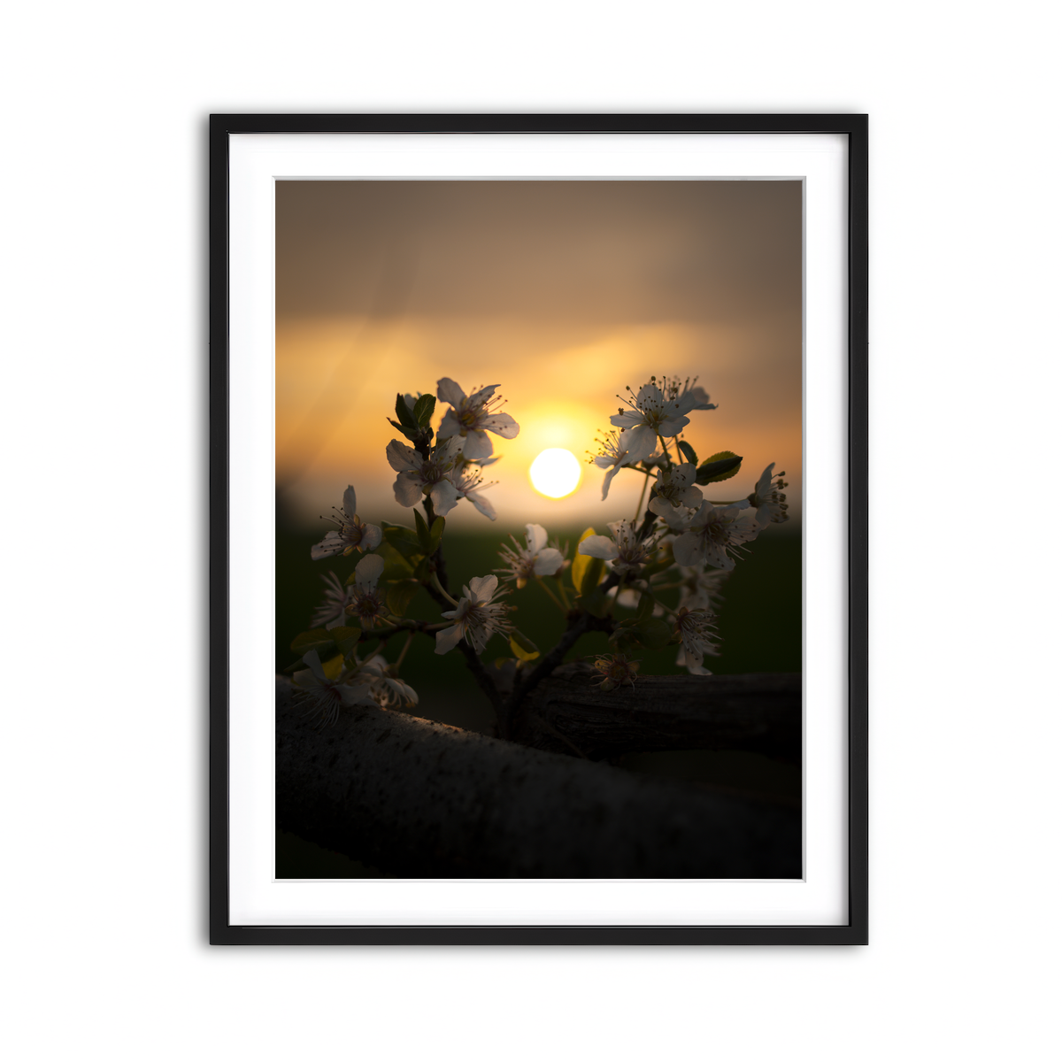 Framed Print 3x4 Black