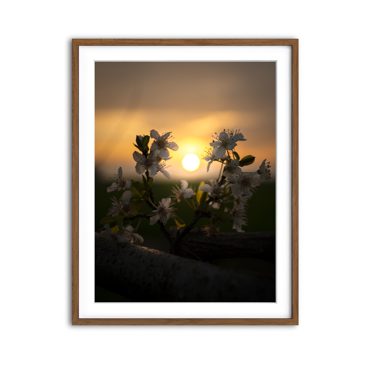 Framed Print 3x4 Walnut
