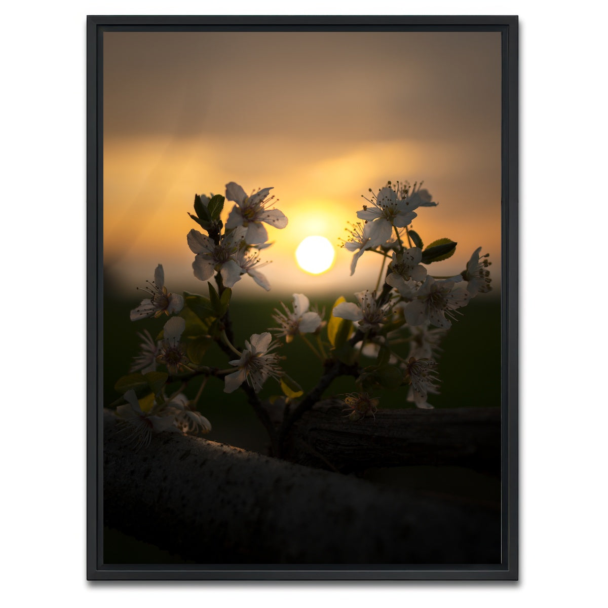 AUTO-MOCKUP WHITE | Floral Sunset | 1 Piece | Black Framed Canvas | group=3x4