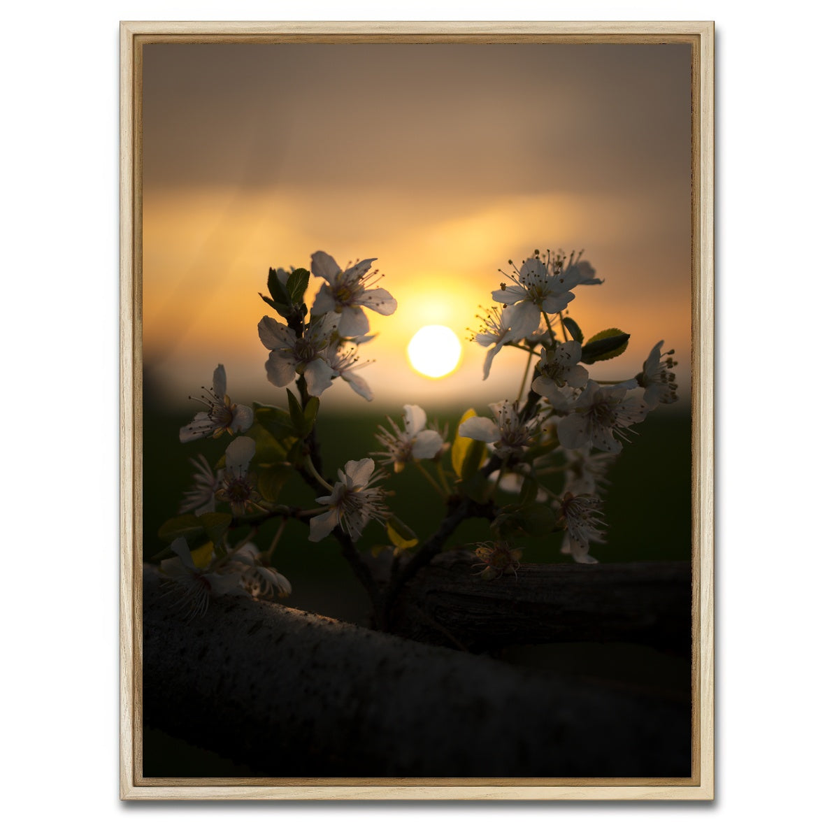 AUTO-MOCKUP WHITE | Floral Sunset | 1 Piece | Natural Framed Canvas | group=3x4