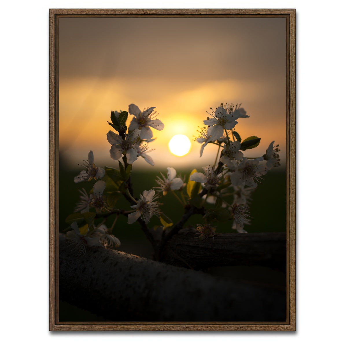 AUTO-MOCKUP WHITE | Floral Sunset | 1 Piece | Walnut Framed Canvas | group=3x4