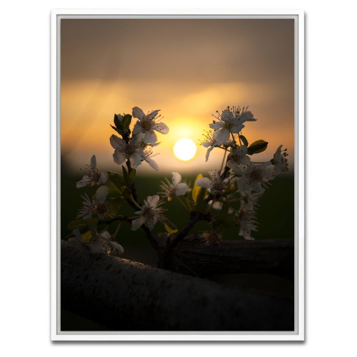 AUTO-MOCKUP WHITE | Floral Sunset | 1 Piece | White Framed Canvas | group=3x4