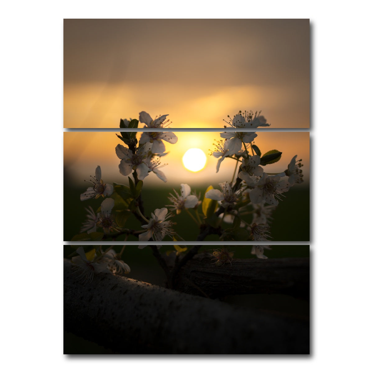 AUTO-MOCKUP WHITE | Floral Sunset | 3 Piece | Gallery Wrap Canvas | group=8x18_stacked