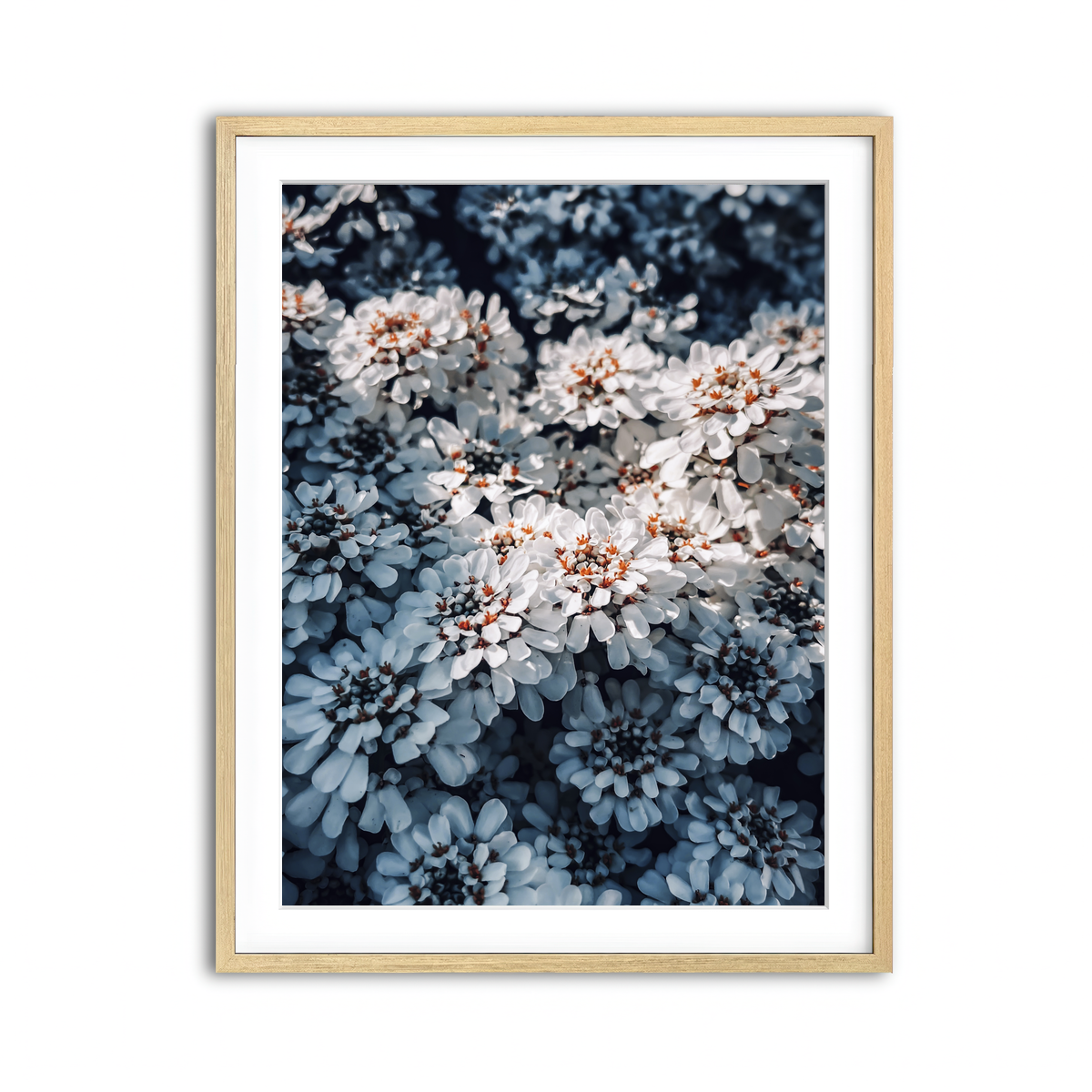 Framed Print 3x4 Natural