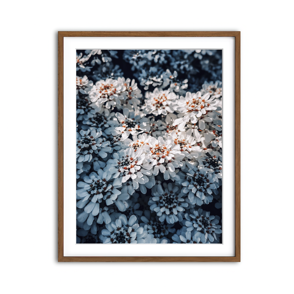 Framed Print 3x4 Walnut