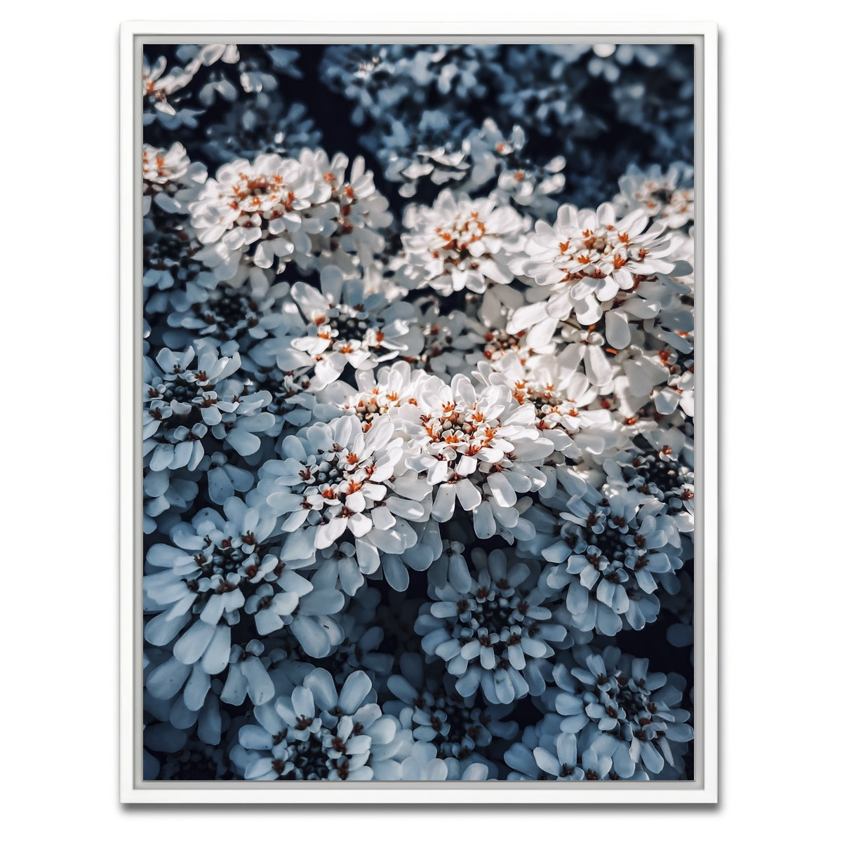 AUTO-MOCKUP WHITE | Flores | 1 Piece | White Framed Canvas | group=3x4