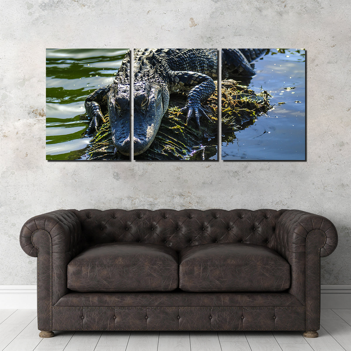 Florida Alligator Wall Art