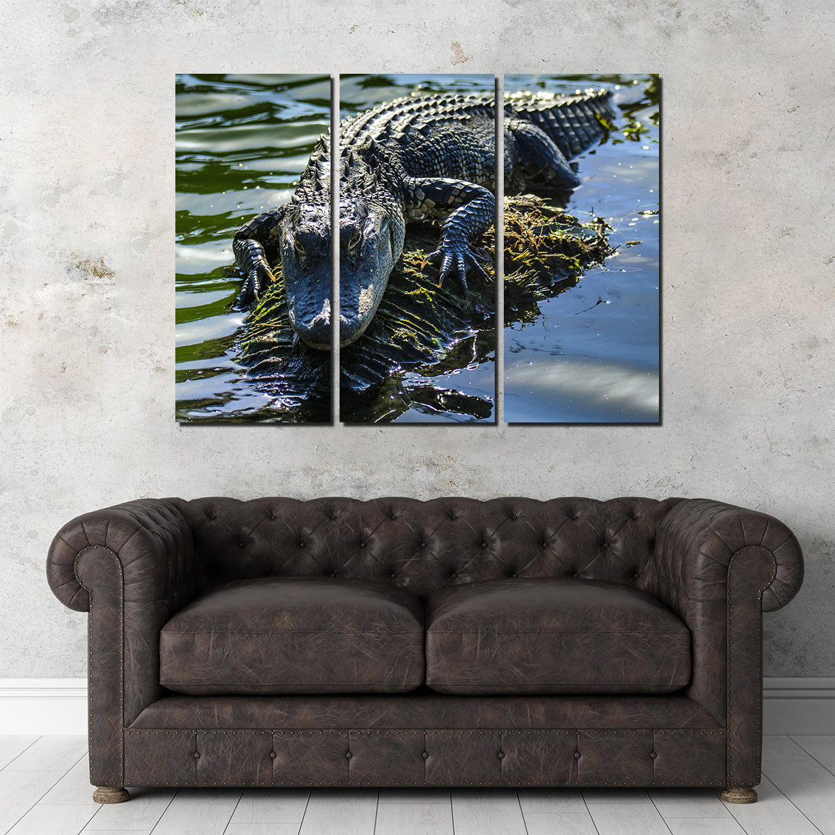 Florida Alligator Wall Art