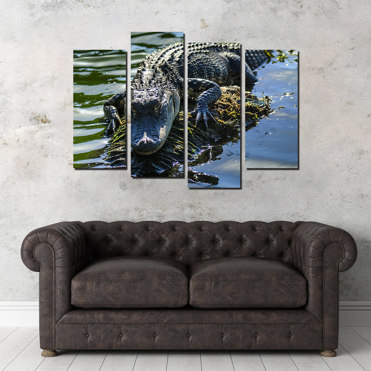 Florida Alligator Wall Art