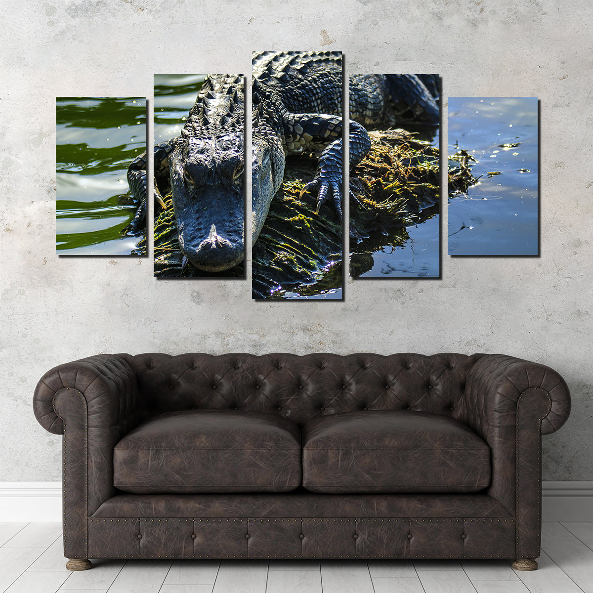 Florida Alligator Wall Art