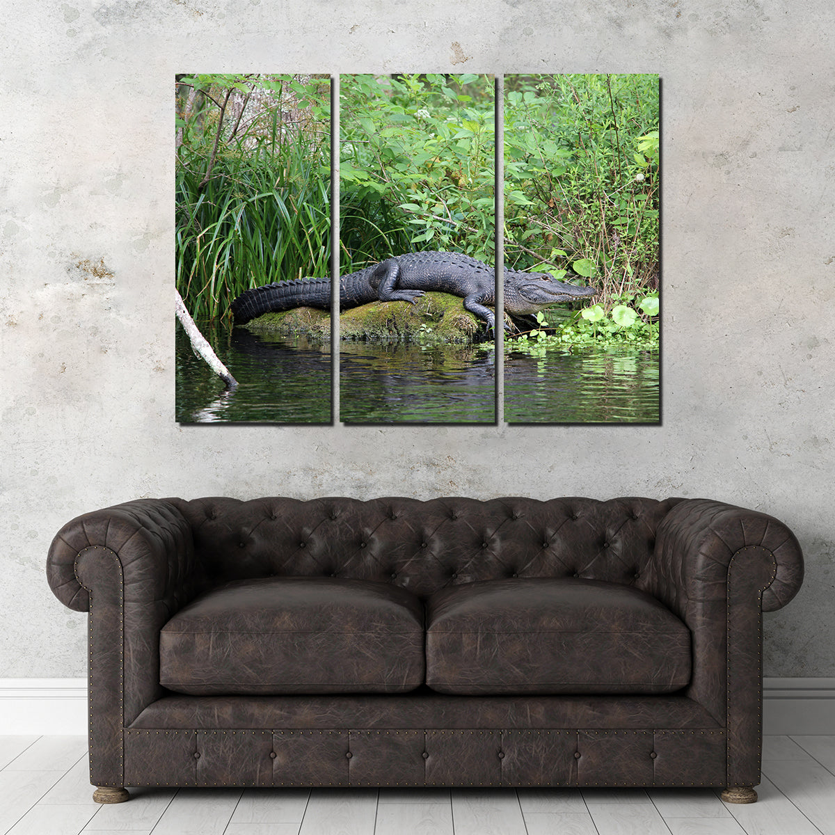 Florida Alligator - Silver Springs State Park Wall Art