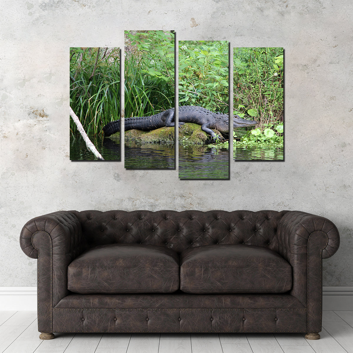 Florida Alligator - Silver Springs State Park Wall Art