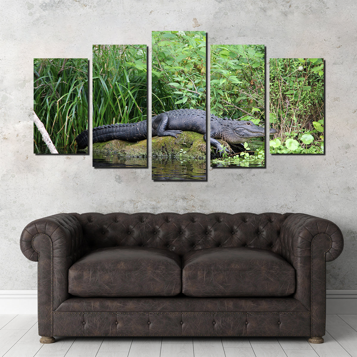 Florida Alligator - Silver Springs State Park Wall Art