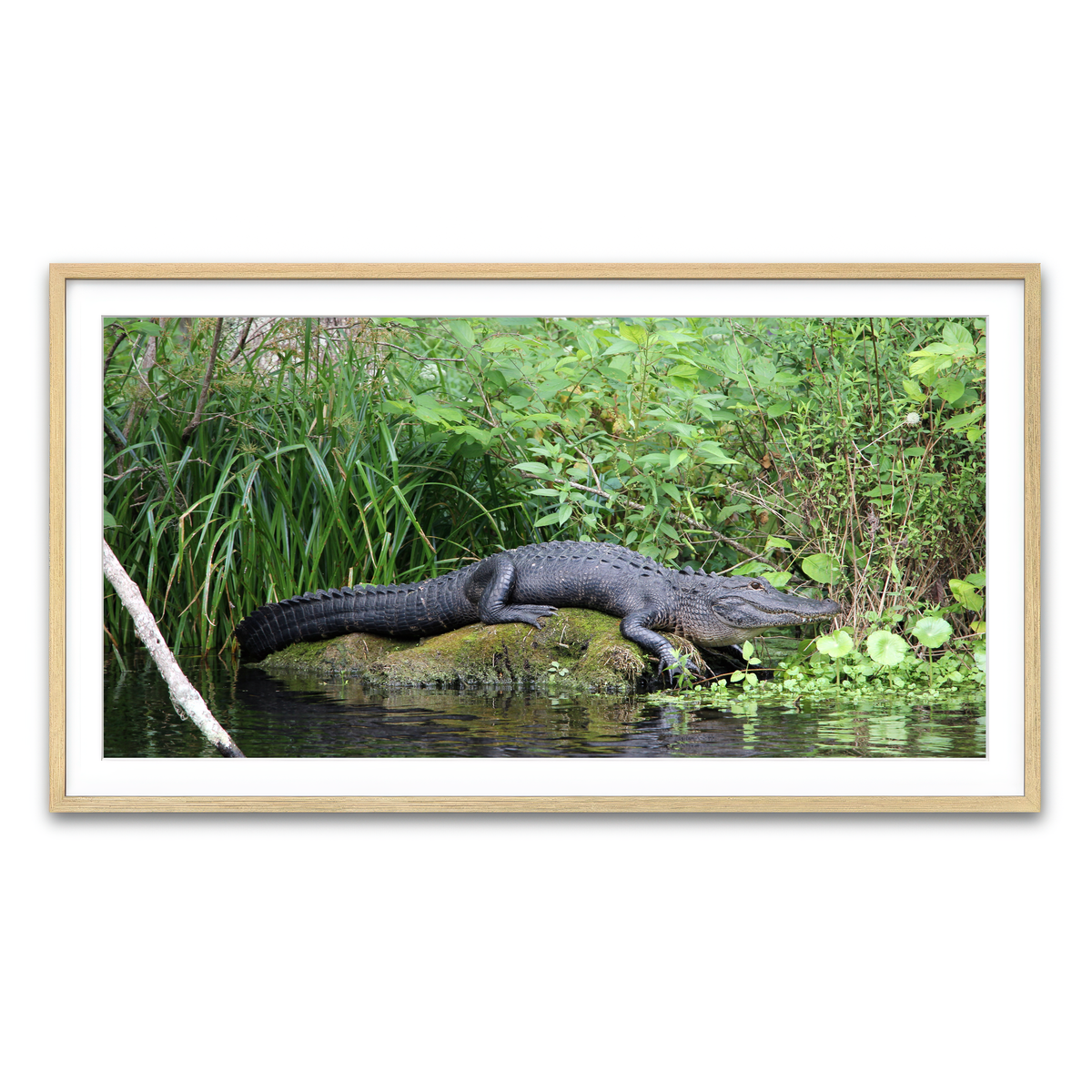 Framed Print 2x1 Natural