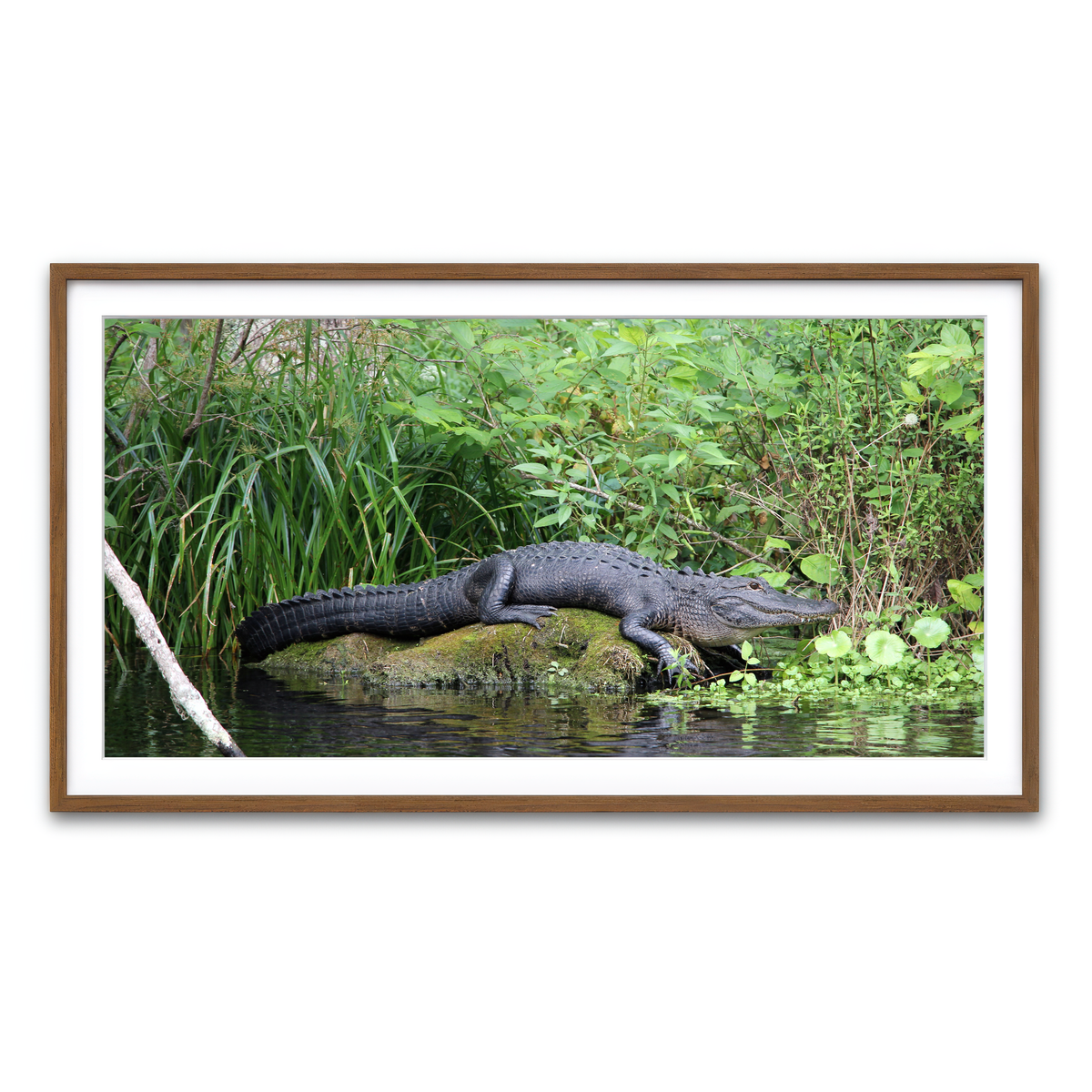 Framed Print 2x1 Walnut