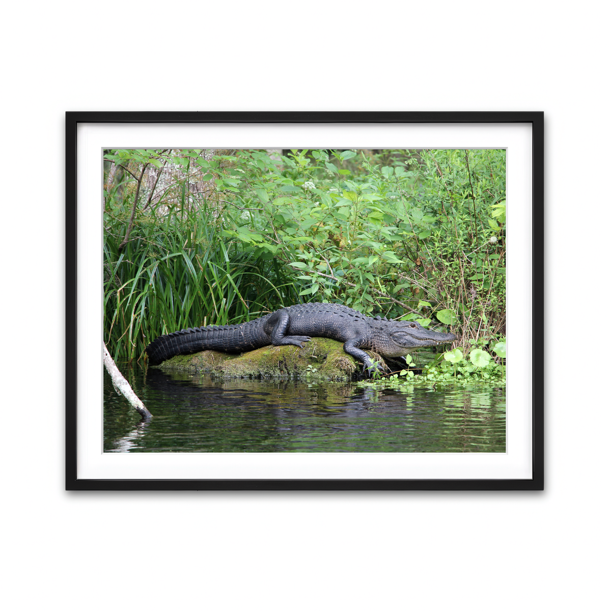 Framed Print 4x3 Black