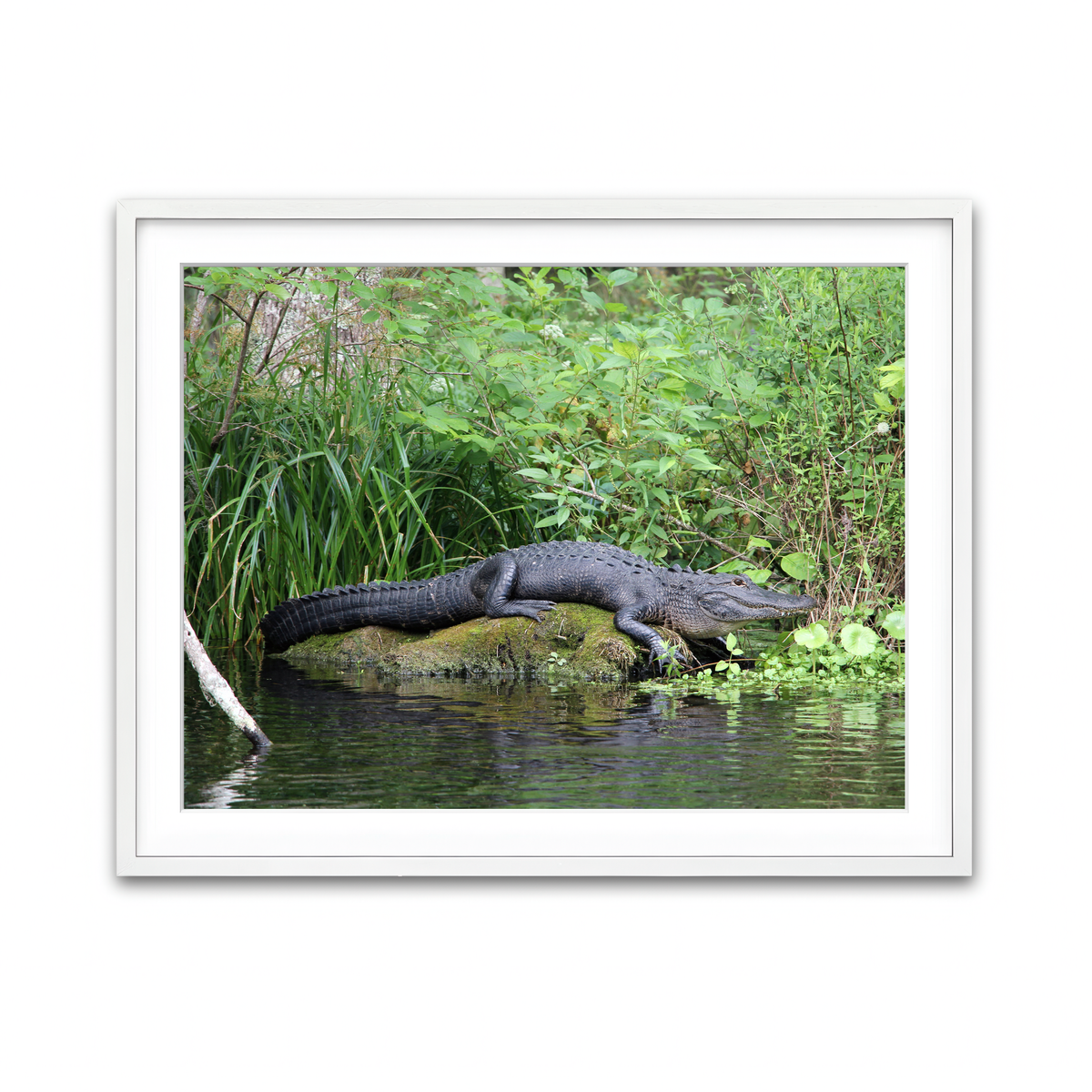 Framed Print 4x3 White