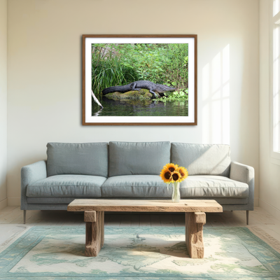 AUTO-MOCKUP ROOM | Florida Alligator - Silver Springs State Park Wall Art