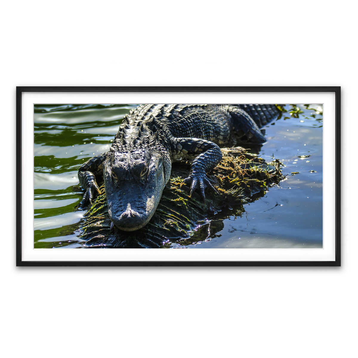 Framed Print 2x1 Black