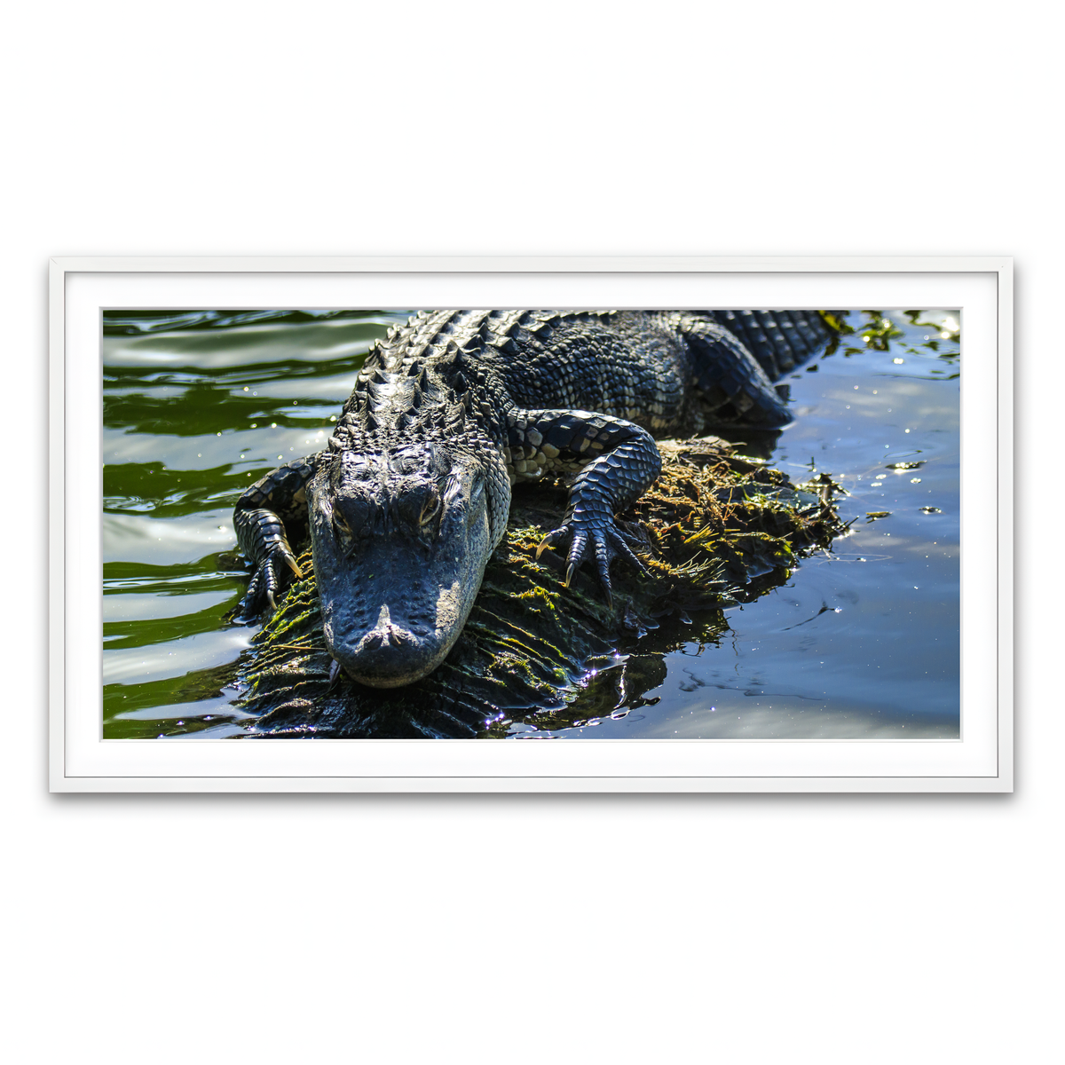 Framed Print 2x1 White