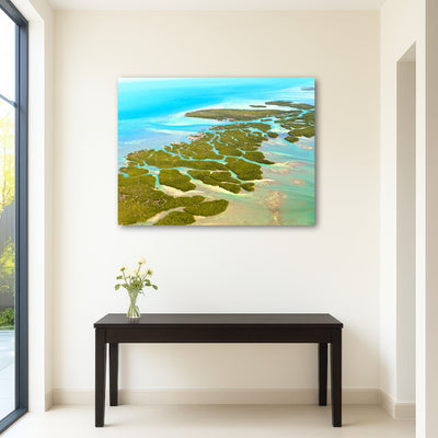 AUTO-MOCKUP ROOM | Florida Keys