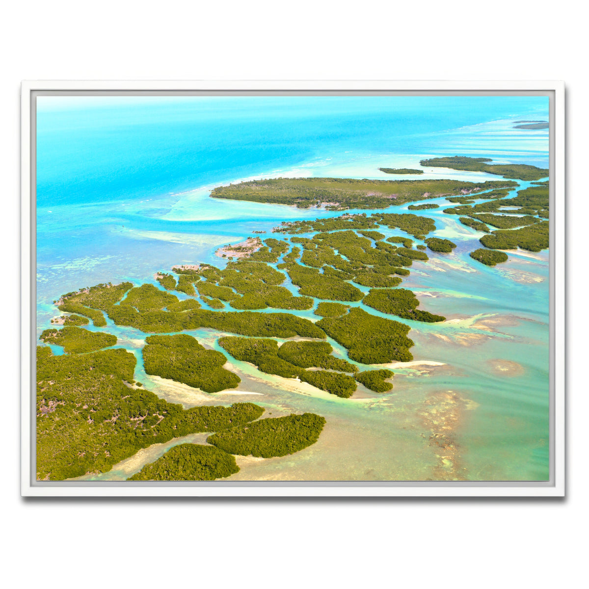 AUTO-MOCKUP WHITE | Florida Keys | 1 Piece | White Framed Canvas | group=4x3