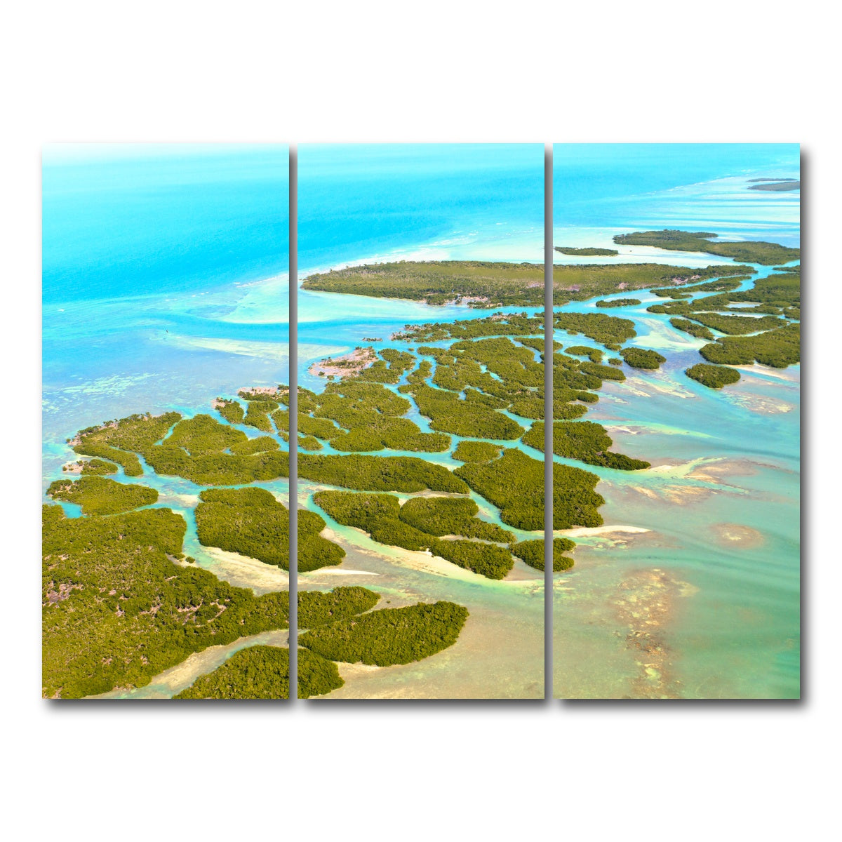 AUTO-MOCKUP WHITE | Florida Keys | 3 Piece | Gallery Wrap Canvas | group=8x18