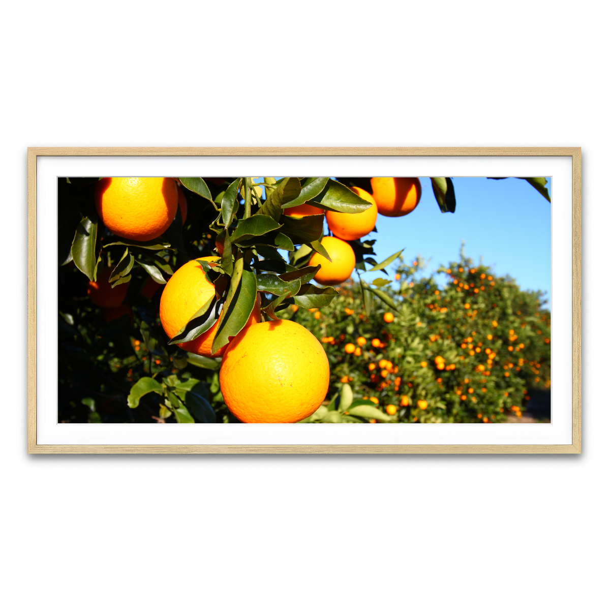 Framed Print 2x1 Natural