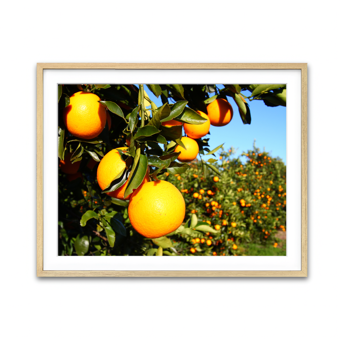 Framed Print 4x3 Natural