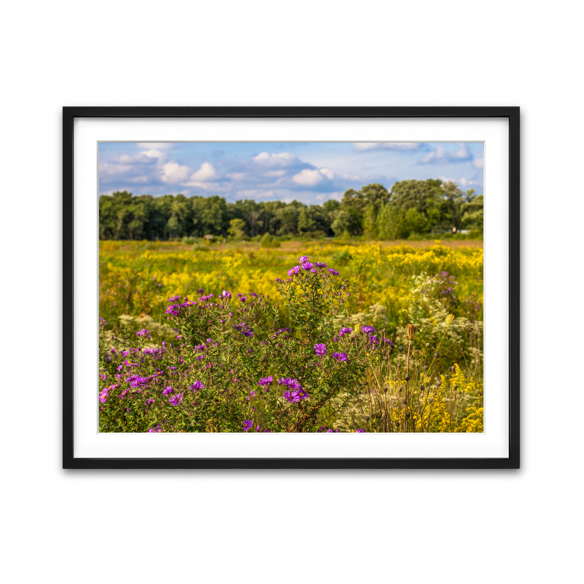Framed Print 4x3 Black