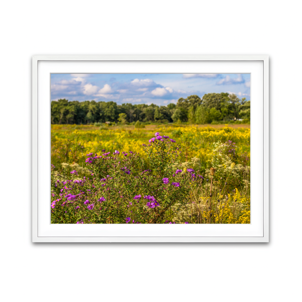 Framed Print 4x3 White