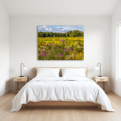 AUTO-MOCKUP ROOM | Flowering prairie at Middlefork Savanna