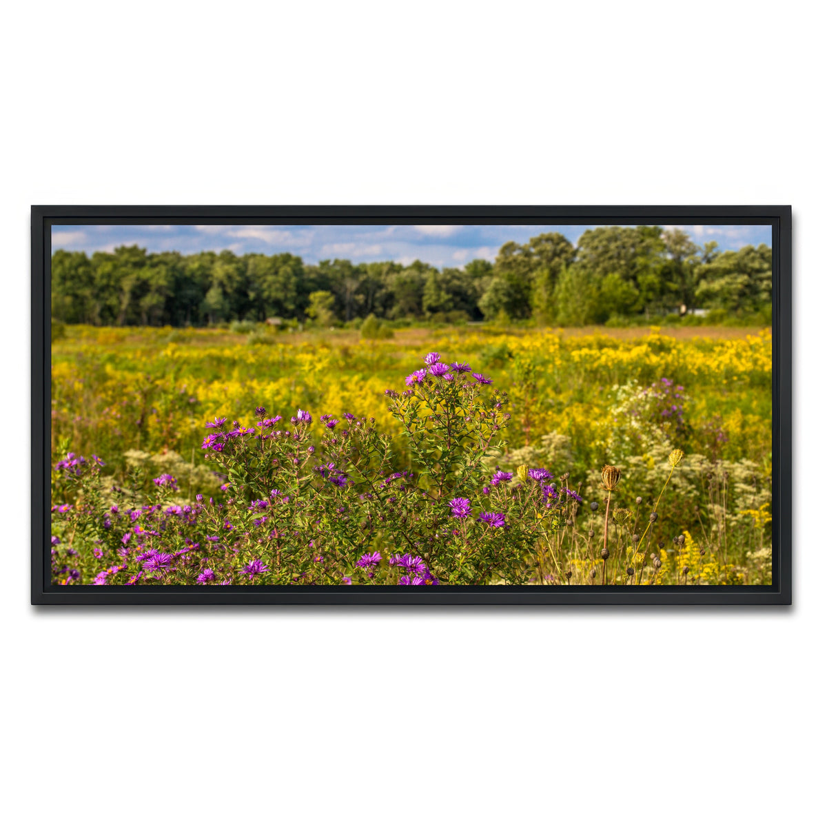 AUTO-MOCKUP WHITE | Flowering prairie at Middlefork Savanna | 1 Piece | Black Framed Canvas | group=2x1