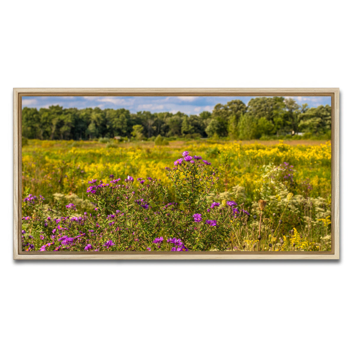 AUTO-MOCKUP WHITE | Flowering prairie at Middlefork Savanna | 1 Piece | Natural Framed Canvas | group=2x1