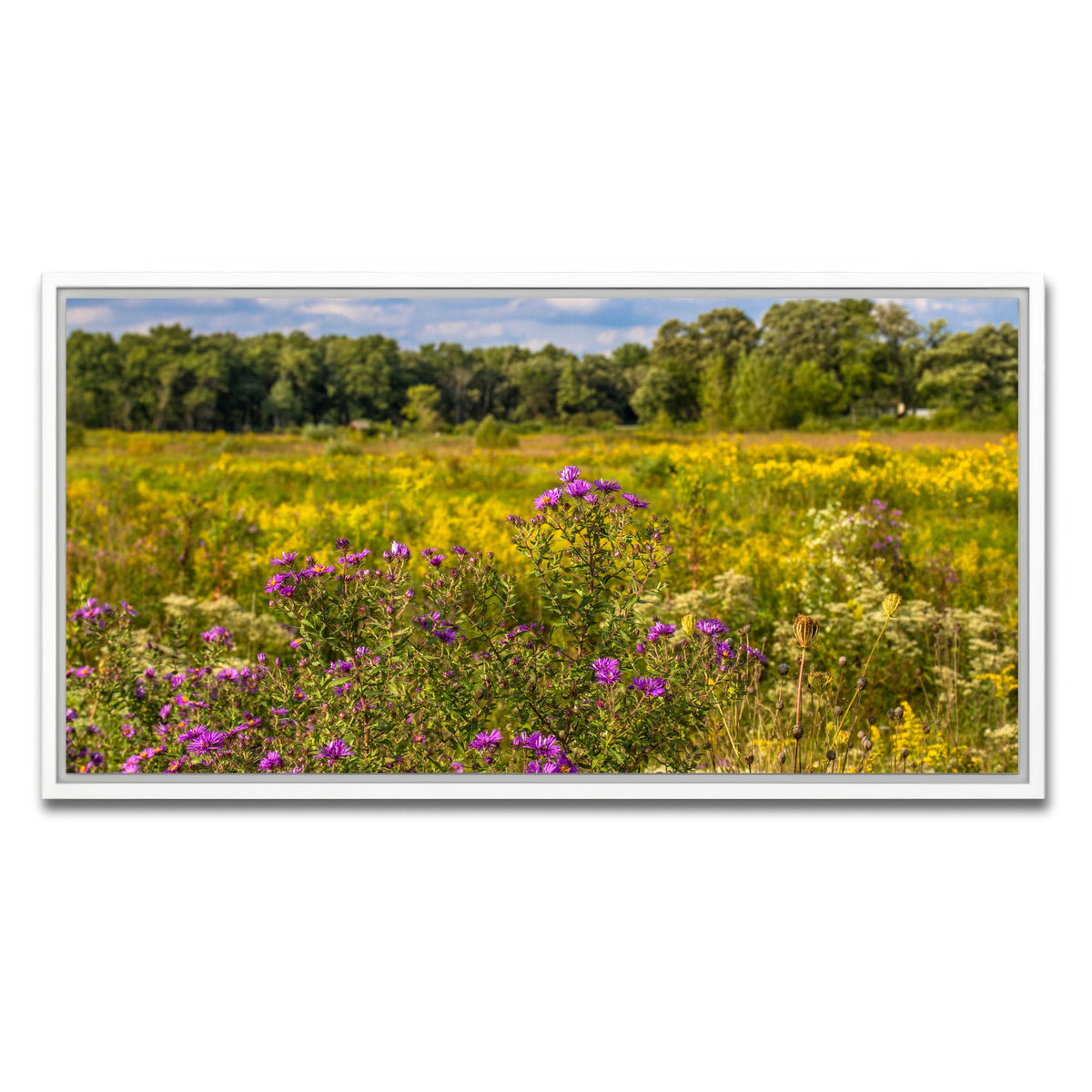AUTO-MOCKUP WHITE | Flowering prairie at Middlefork Savanna | 1 Piece | White Framed Canvas | group=2x1