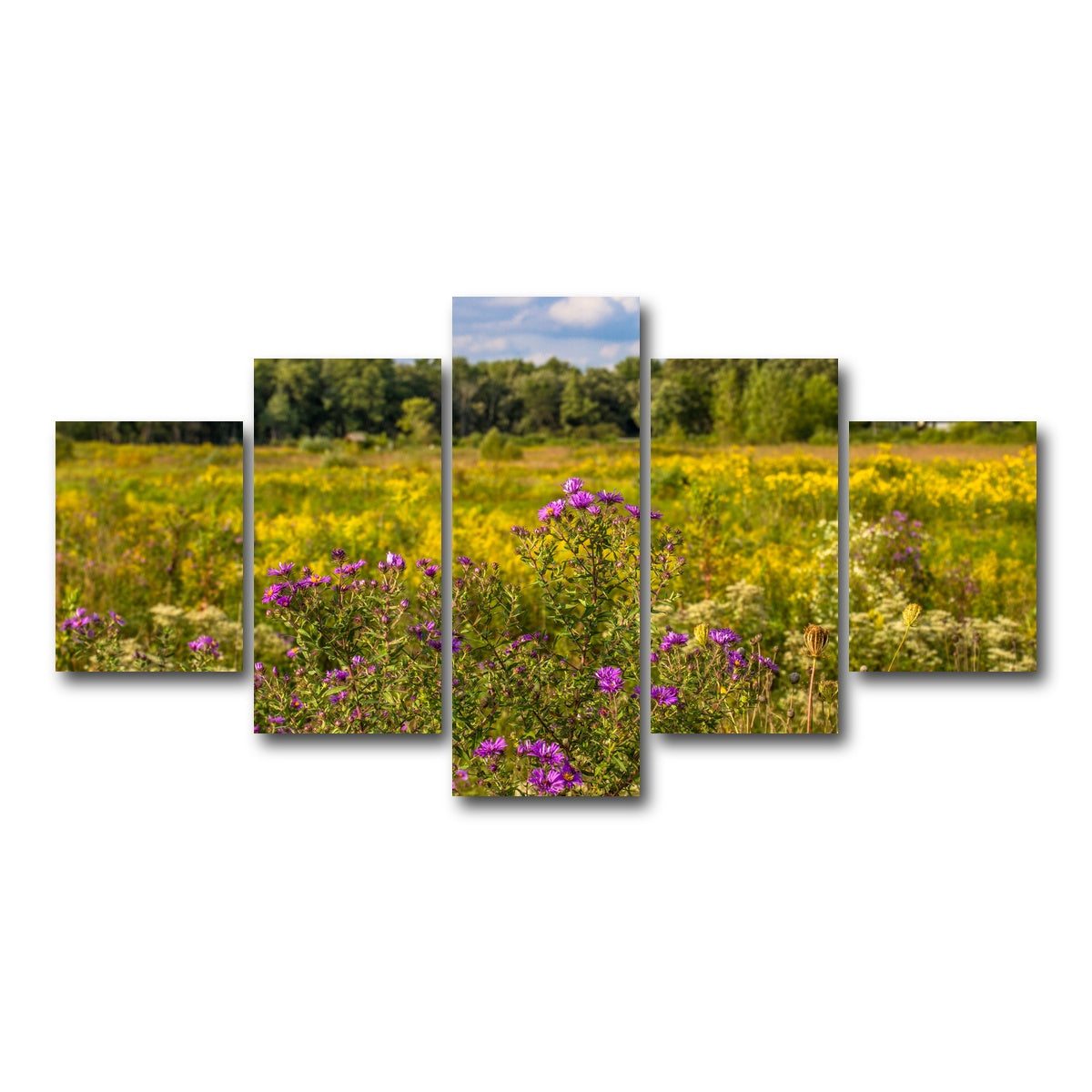 AUTO-MOCKUP WHITE | Flowering prairie at Middlefork Savanna | 5 Piece | Gallery Wrap Canvas | group=5_short