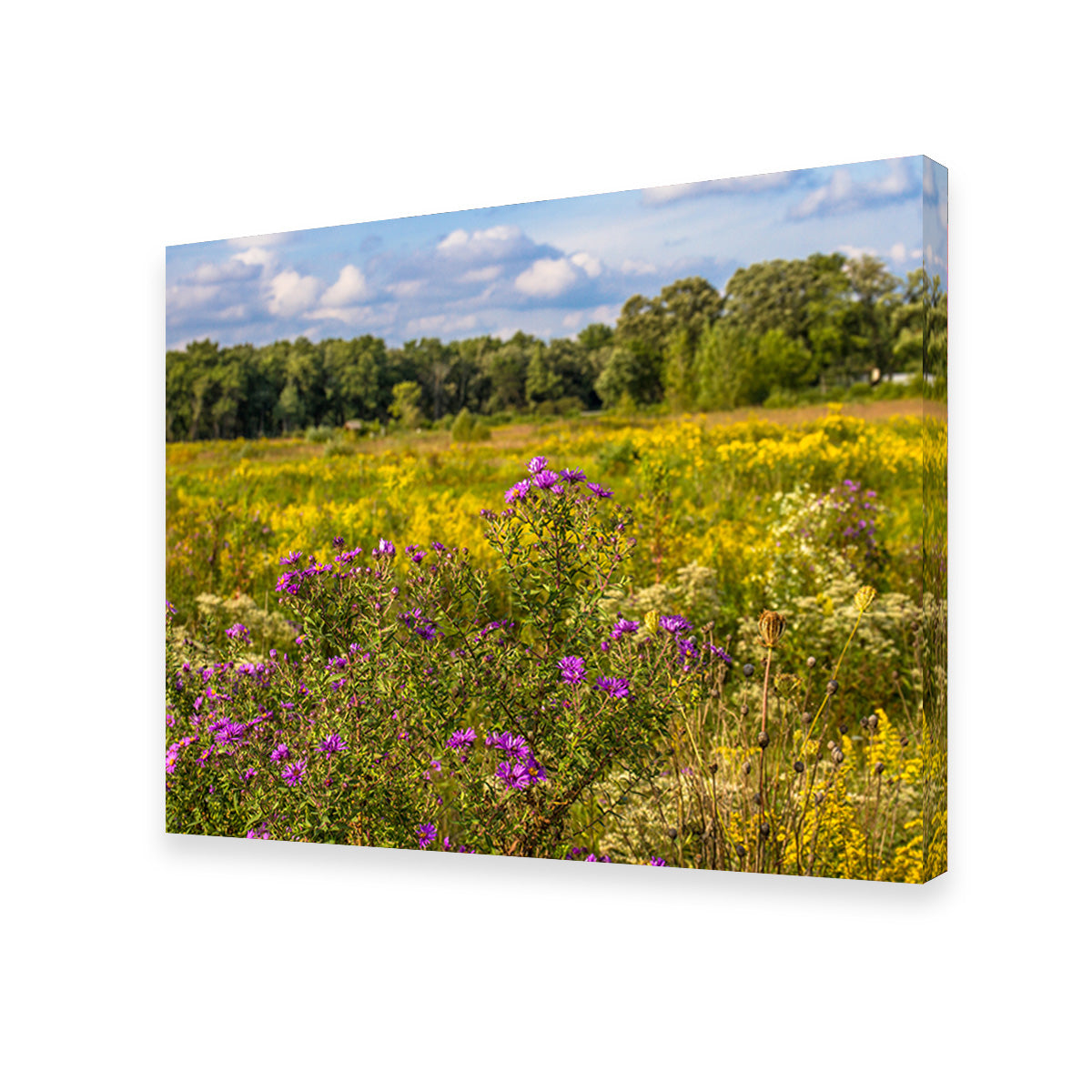 Flowering Prairie at Middlefork Savanna Wall Art