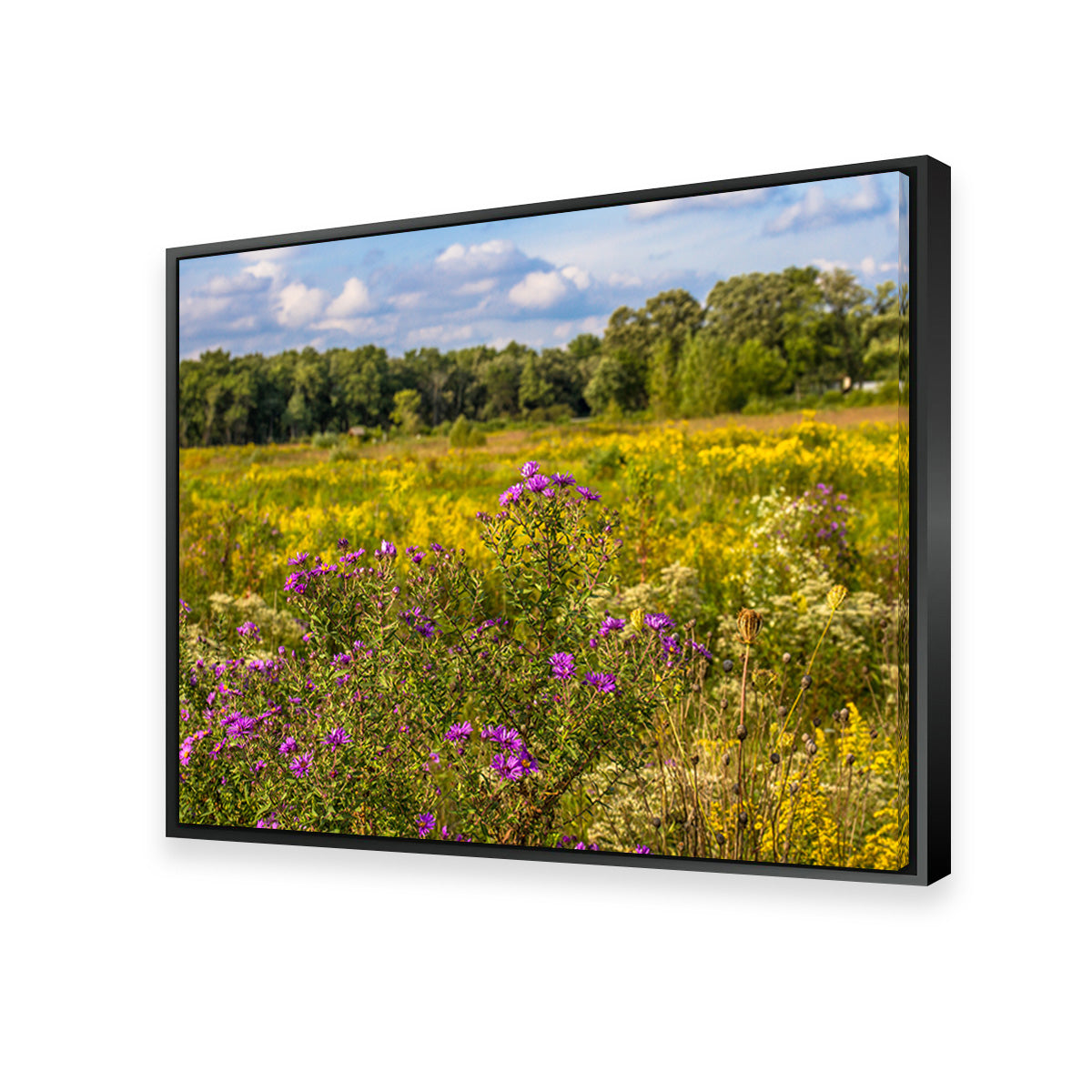 Flowering Prairie at Middlefork Savanna Wall Art