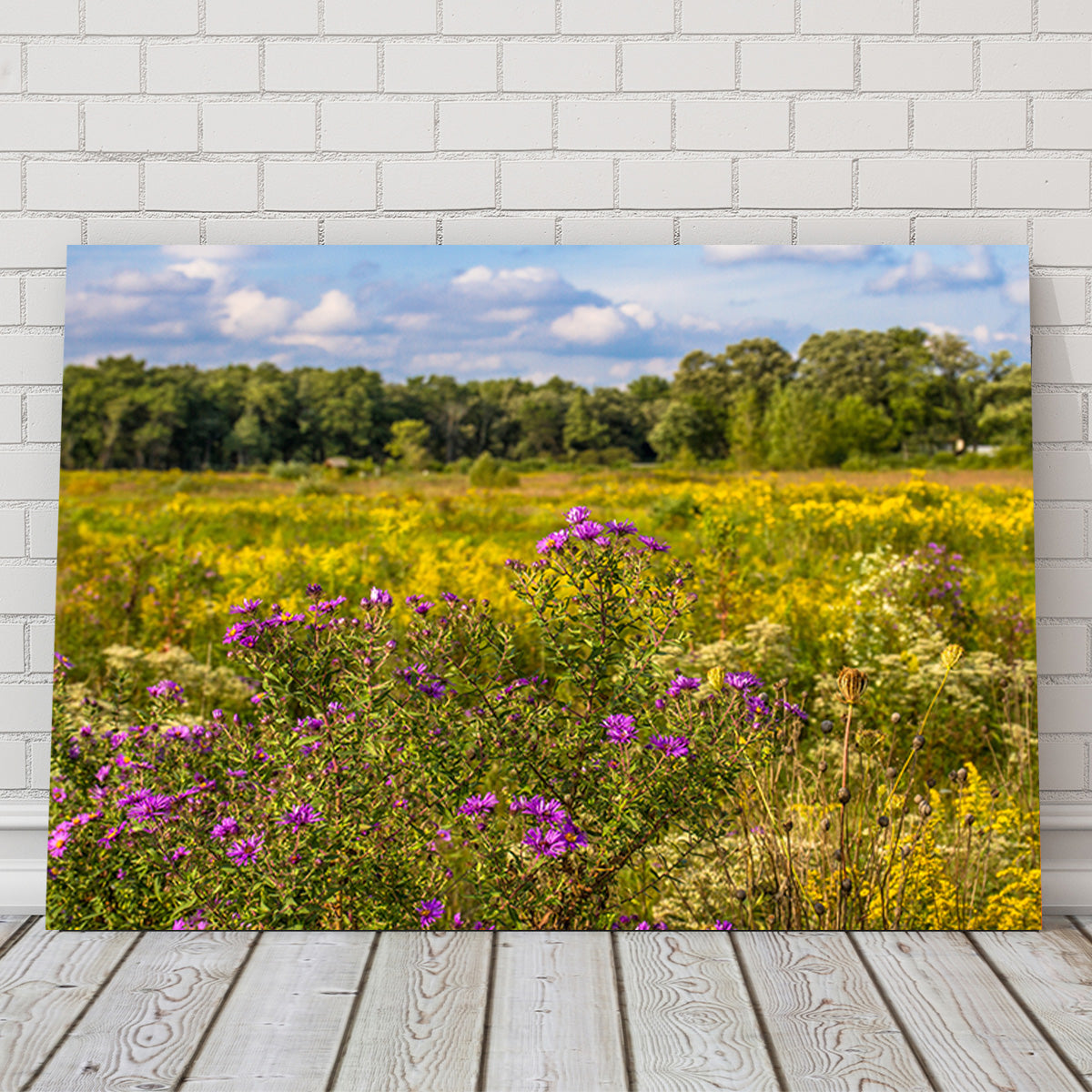 Flowering Prairie at Middlefork Savanna Wall Art