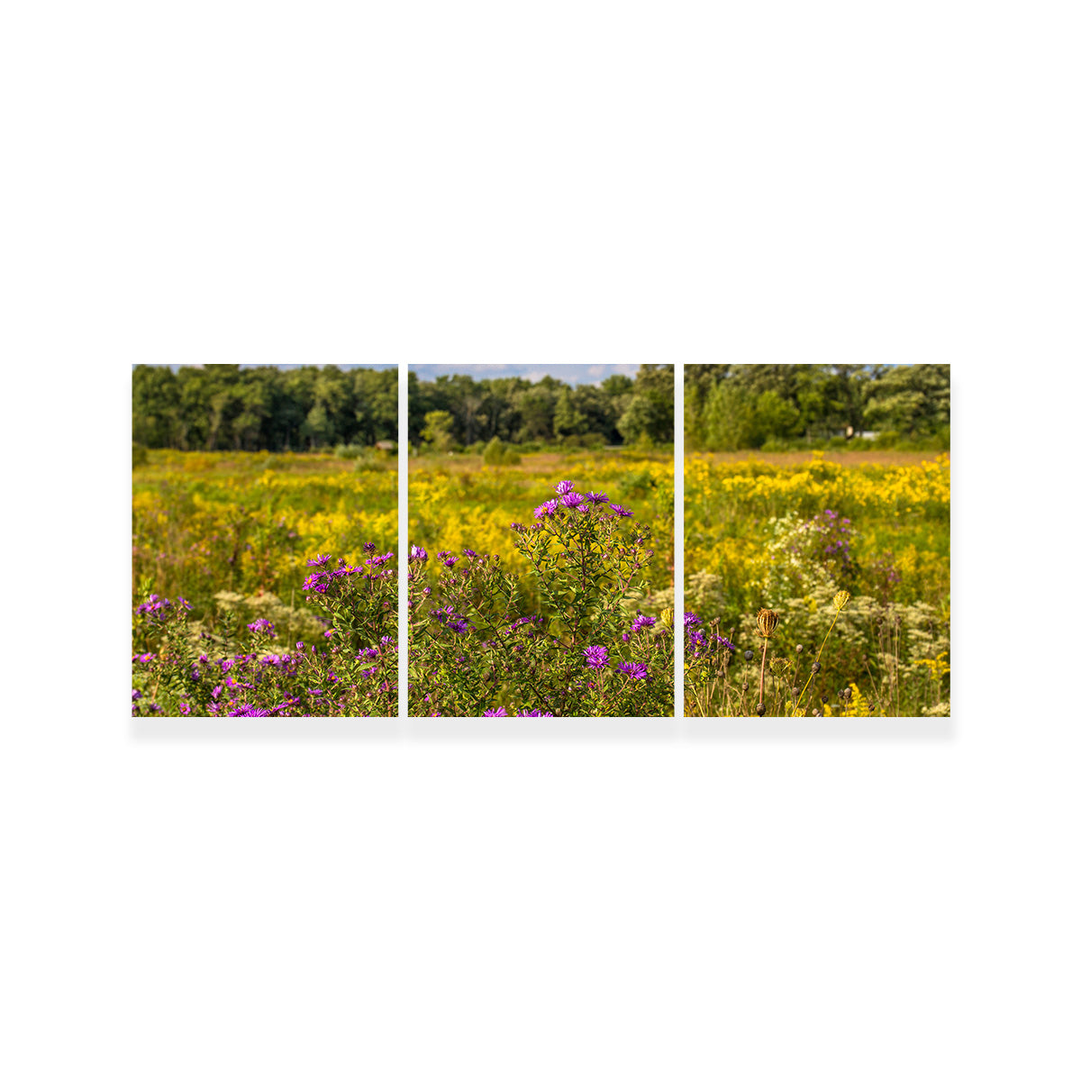 Flowering Prairie at Middlefork Savanna Wall Art