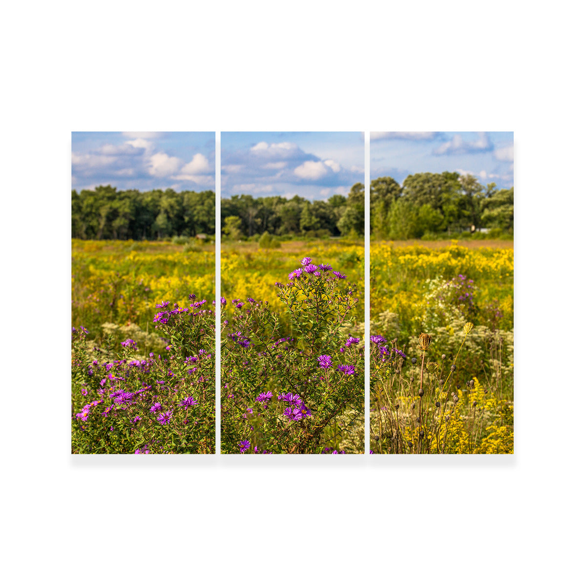 Flowering Prairie at Middlefork Savanna Wall Art