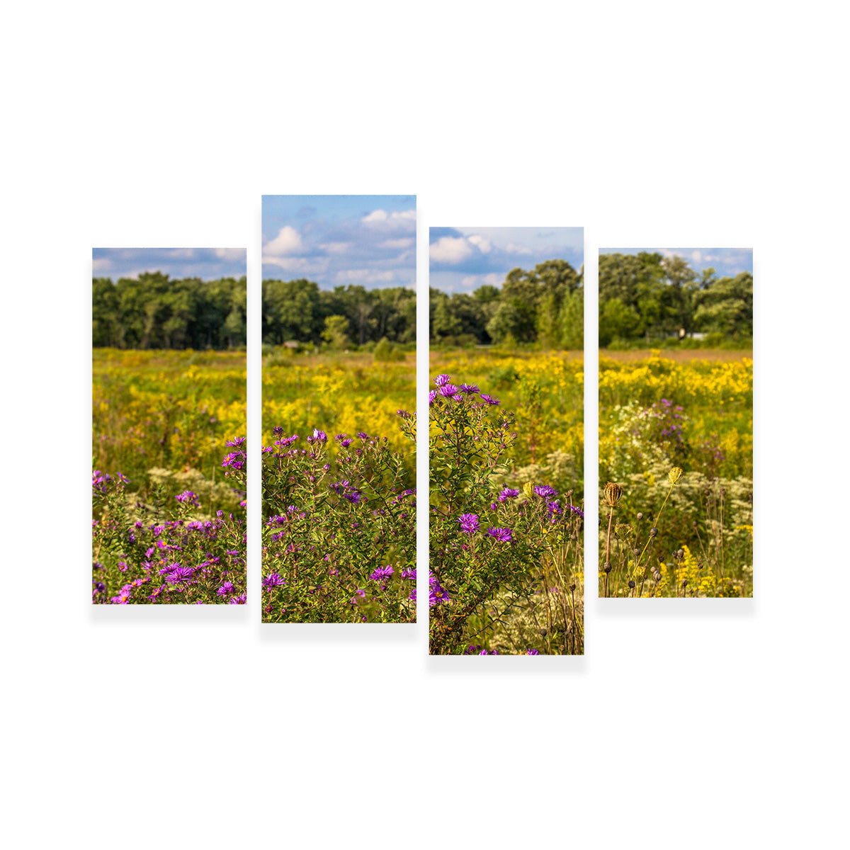 Flowering Prairie at Middlefork Savanna Wall Art