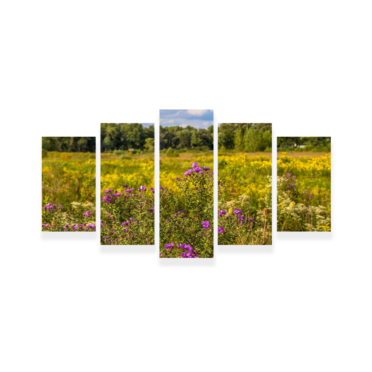 Flowering Prairie at Middlefork Savanna Wall Art