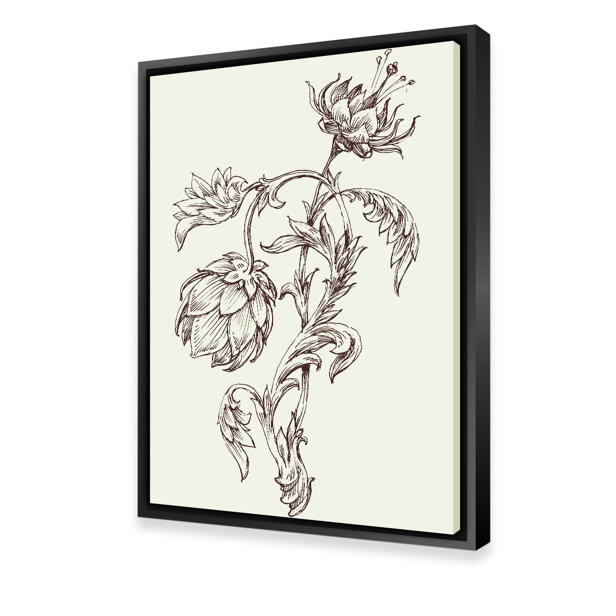 Flowers Sketch Wall Art