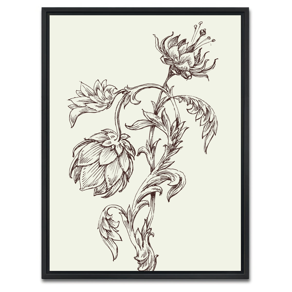 AUTO-MOCKUP WHITE | Flowers Sketch | 1 Piece | Black Framed Canvas | group=3x4