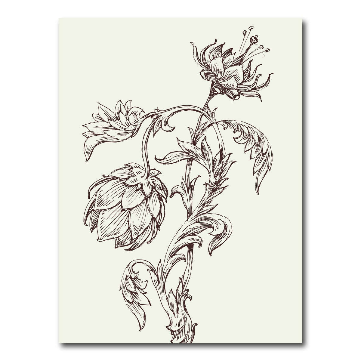 AUTO-MOCKUP WHITE | Flowers Sketch | 1 Piece | Gallery Wrap Canvas | group=3x4