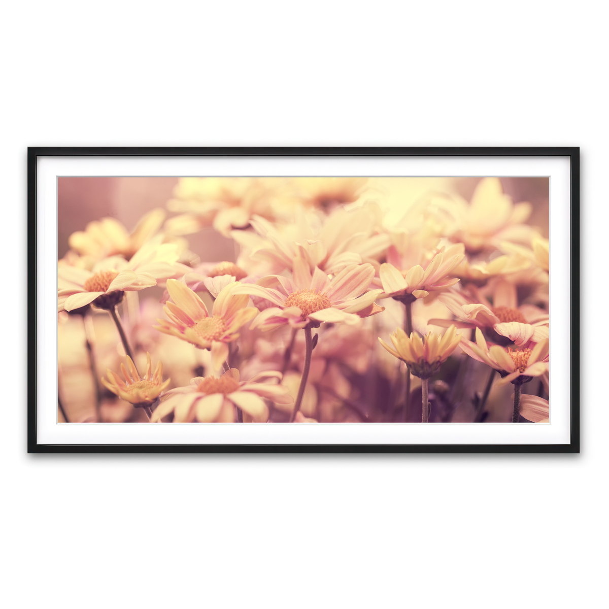 Framed Print 2x1 Black