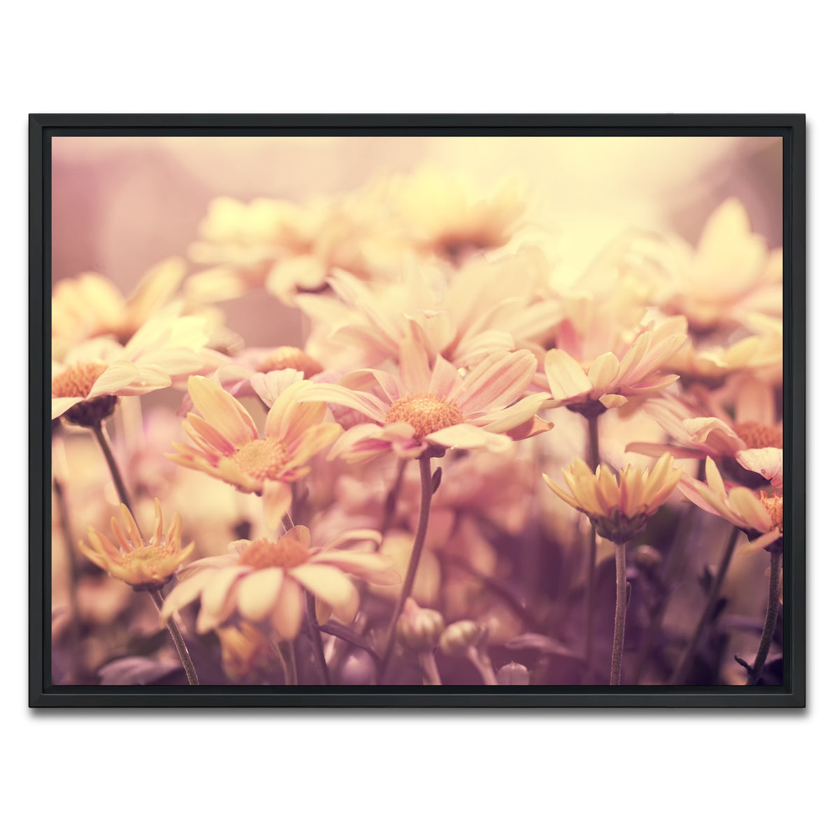 AUTO-MOCKUP WHITE | Flowers at Sunset | 1 Piece | Black Framed Canvas | group=4x3
